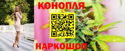 бошки Будённовск