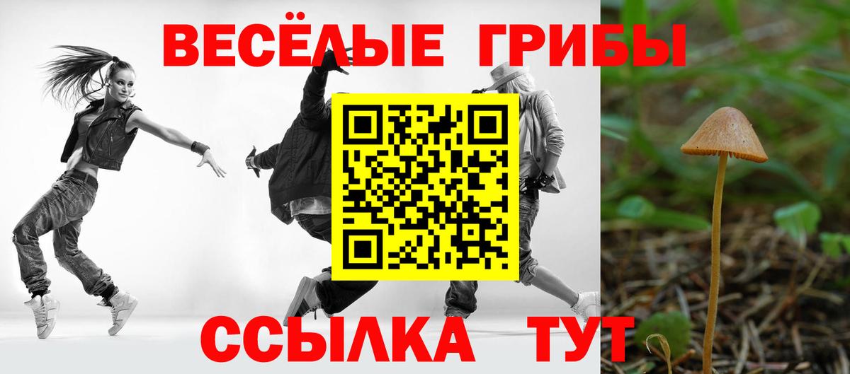 Псилоцибиновые грибы прущие грибы Реутов